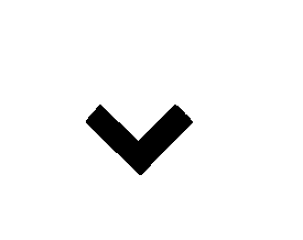 Flaig-logo